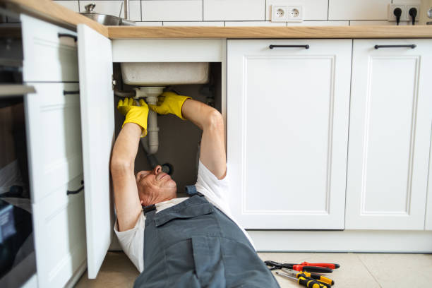 Best Plumbing Services Near Me  in Bodega Bay, CA